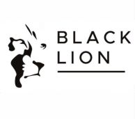 Black Lion Wealth Management