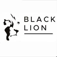 Black Lion Insurance & Wealth