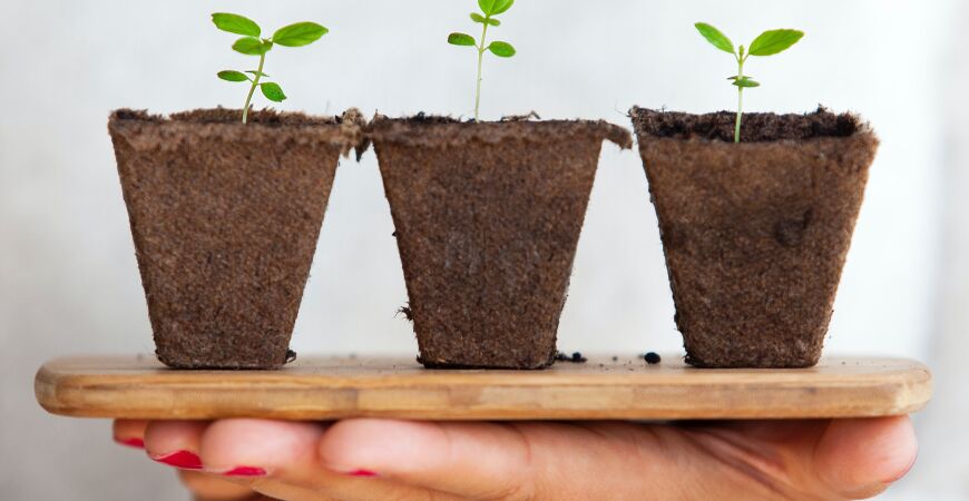 Net Zero 360: Become a sustainability pioneer