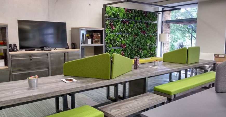 What is Biophilic Office Design?