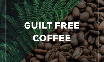 Guilt-free Coffee Guilt-free Coffee