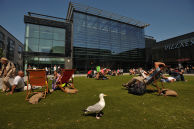 Brighton & Hove Libraries