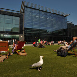 Brighton & Hove Libraries