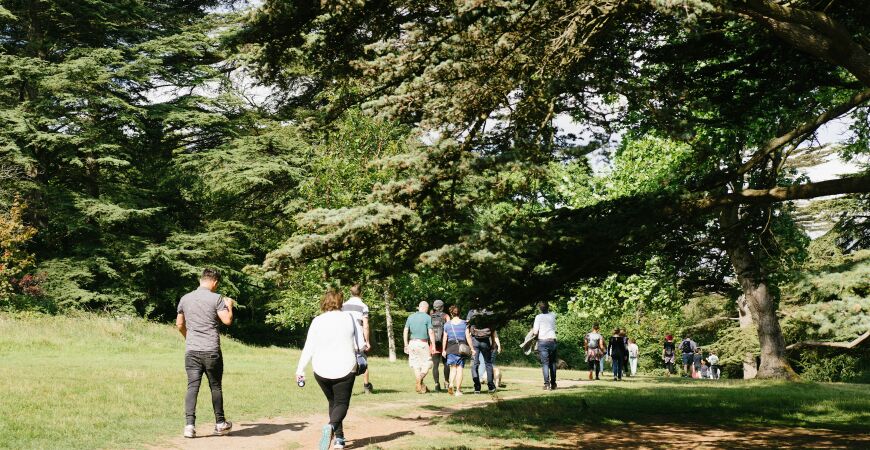 Netwalking: Devil's Dyke and Brighton's lost railway