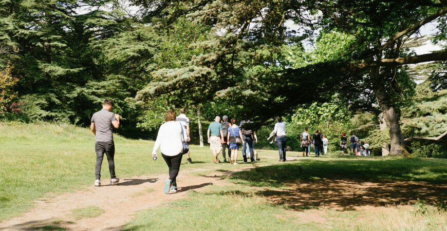 Netwalking: Wandering wetlands in Lewes