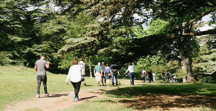 October Netwalking: Autumn colours of Stanmer Park