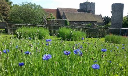 Beautiful gardens and grounds Beautiful gardens and grounds