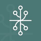 Root & Branch Digital