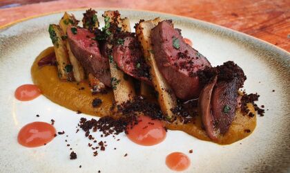 Pigeon, rhubarb, spiced shallots Pigeon, rhubarb, spiced shallots