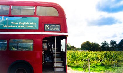 Vintage Bus Wine Tour