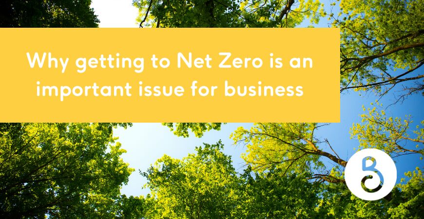 Why getting to Net Zero is an important issue for business