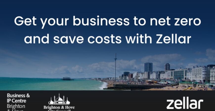 Business Sustainability Webinar with Zellar
